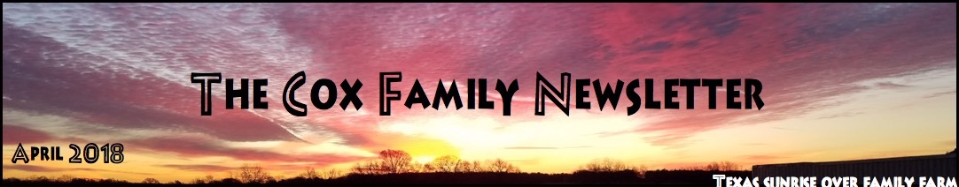 The Cox Family Newsletter Banner
