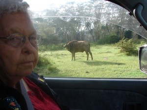 Grandma_Rosie_Buffalo